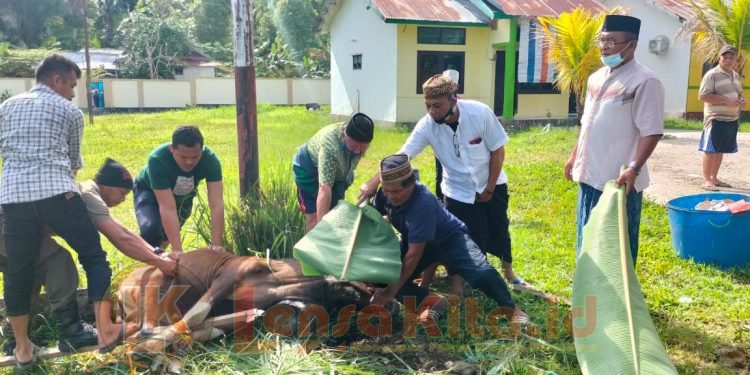 Ketgam : Saat Kepala kejaksaan negeri Lasusua Kabupaten Kolaka Utara menggelar pemotongan hewan kurban di sampin halaman kantor Kejati.