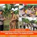 Sinergi Brimob dan Pemda Perkuat Ketahanan Pangan Kolut, Dengan Panen 4 Ton Jagung di Lawolatu